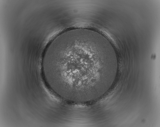 X0000091360586200708171525