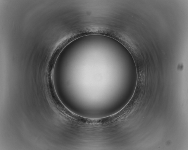 X0000091360587200708171525