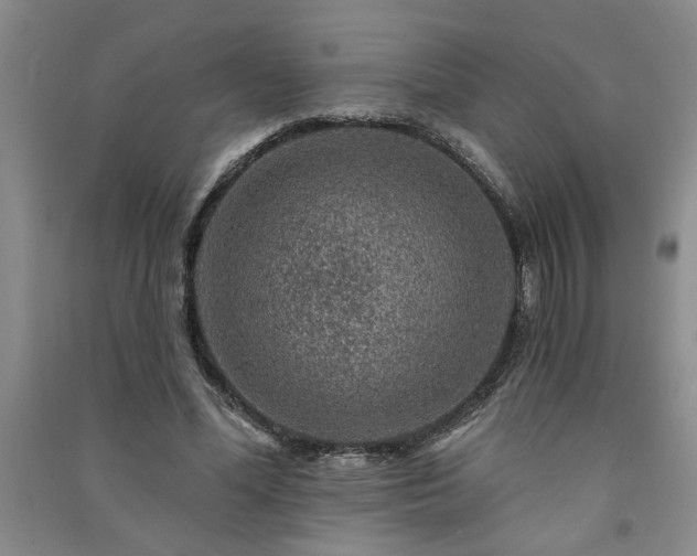 X0000091360588200708171525