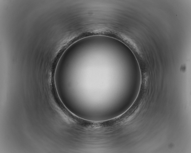 X0000091360589200708171525