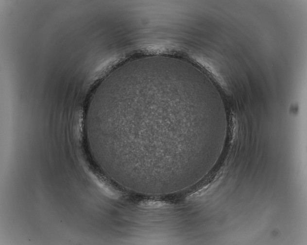 X0000091360590200708171525