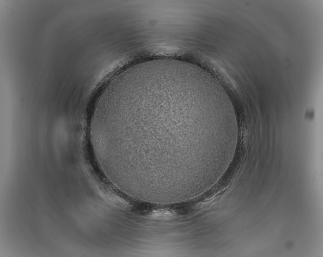 X0000091360591200708171525