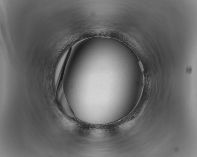 X0000091360593200708171525