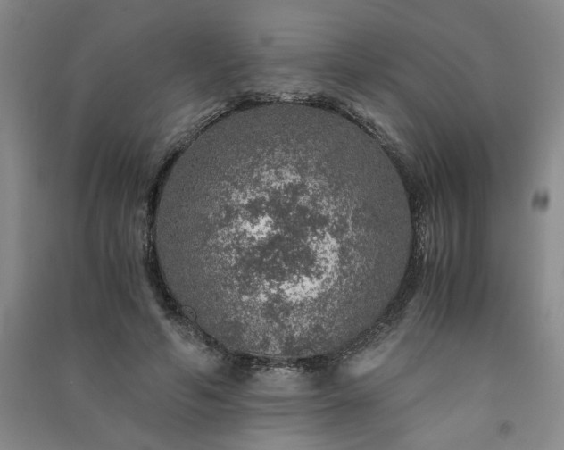 X0000091360594200708171525