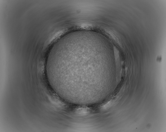 X0000091360595200708171525