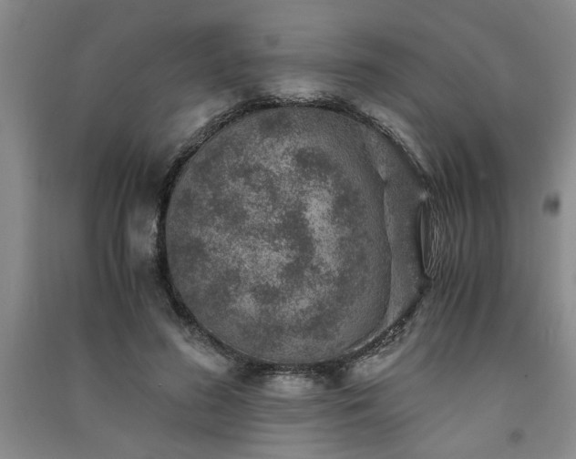 X0000091360596200708171525