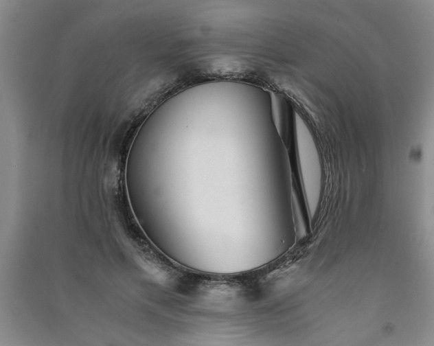 X0000091360597200708171525