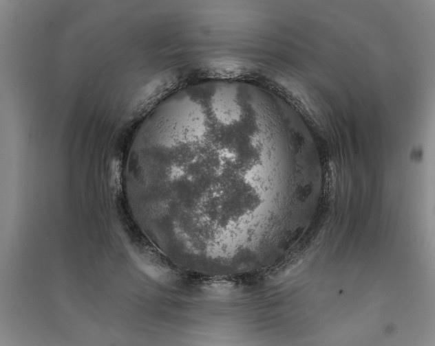 X0000091360598200708171525