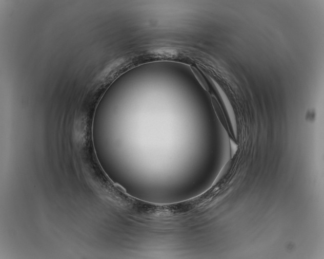 X0000091360600200708171525
