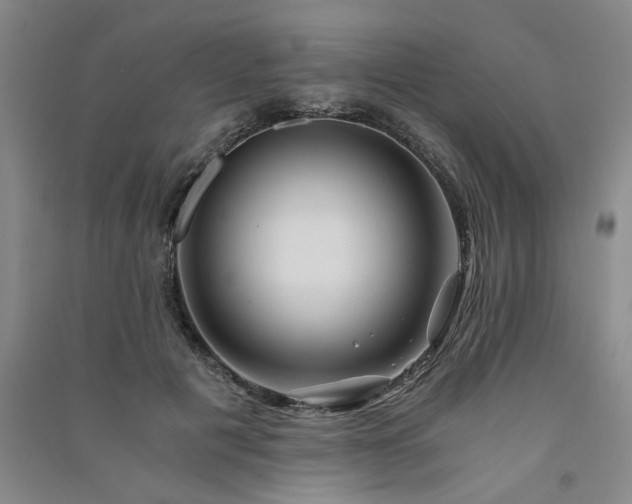 X0000091360601200708171525