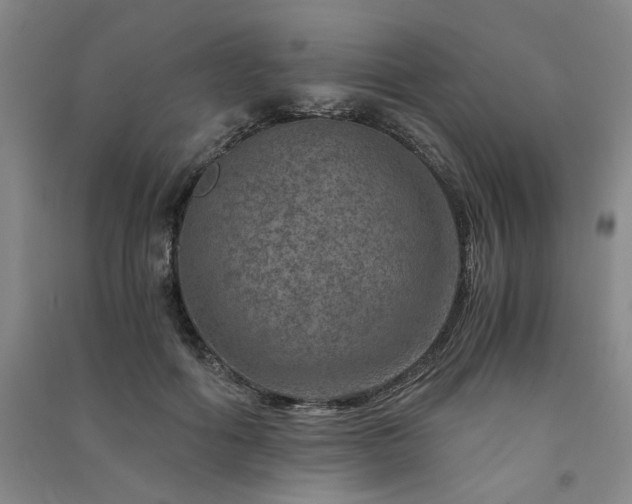 X0000091360602200708171525