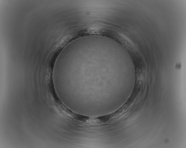 X0000091360603200708171525