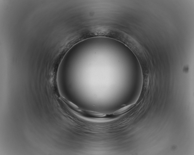 X0000091360604200708171525