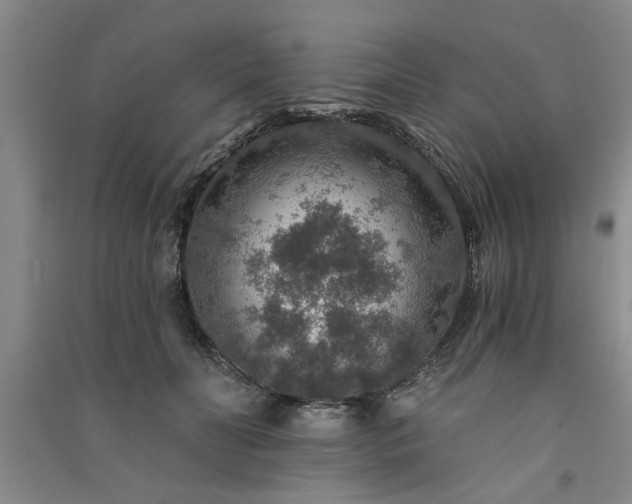 X0000091360606200708171525