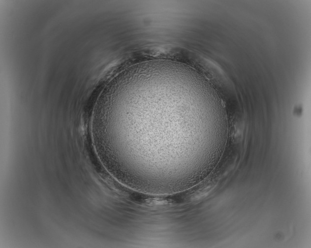 X0000091360607200708171525
