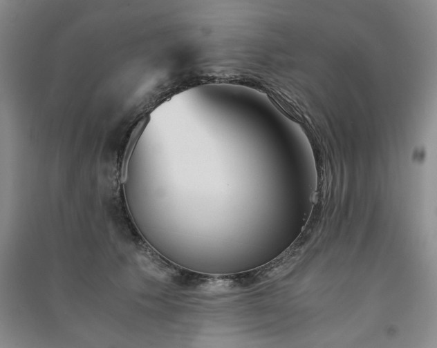 X0000091360609200708171525