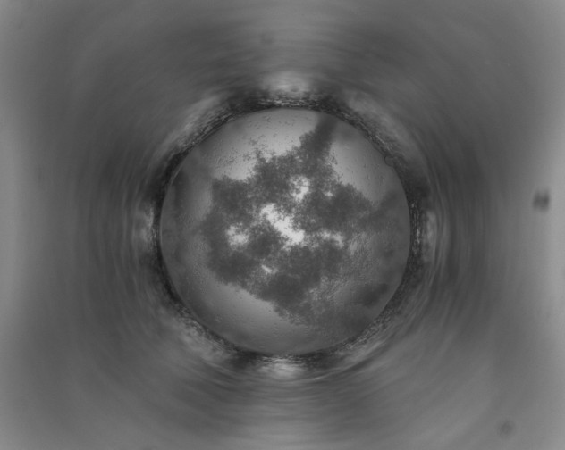 X0000091360610200708171525