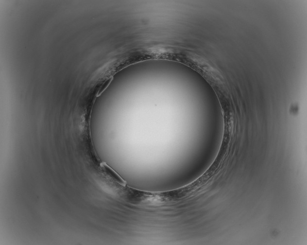 X0000091360611200708171525