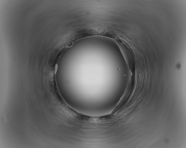 X0000091360613200708171525