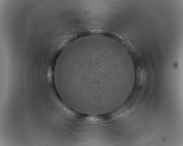 X0000091360614200708171525