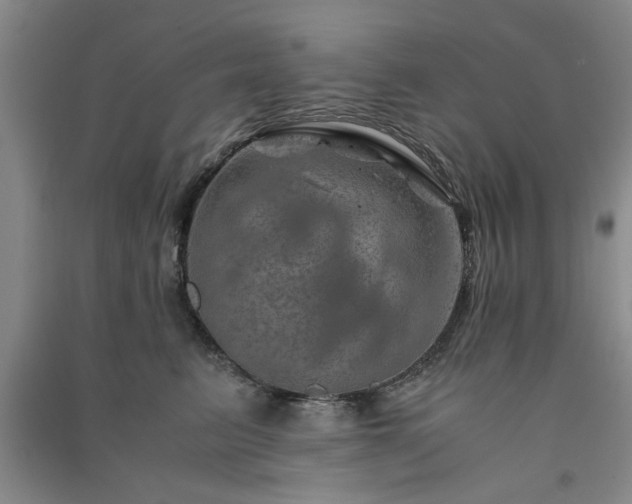 X0000091360615200708171525