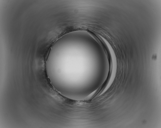 X0000091360617200708171525