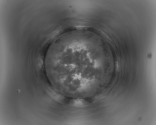 X0000091360618200708171525