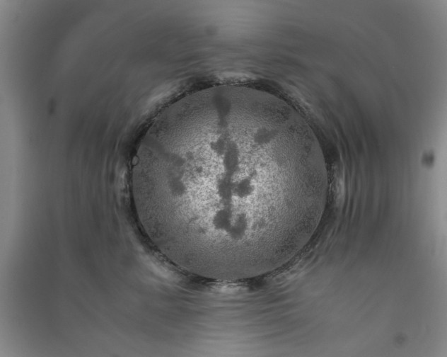 X0000091360619200708171525