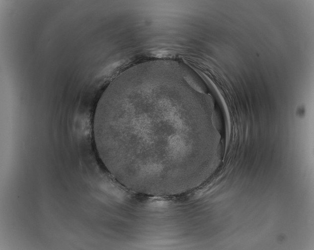 X0000091360620200708171525