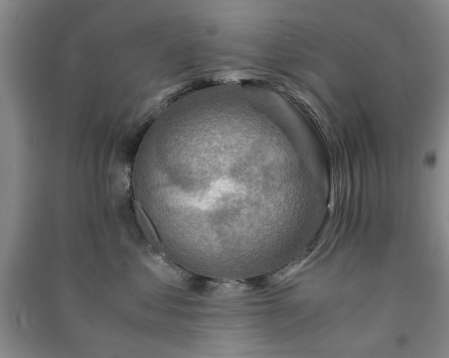X0000091360621200708171525