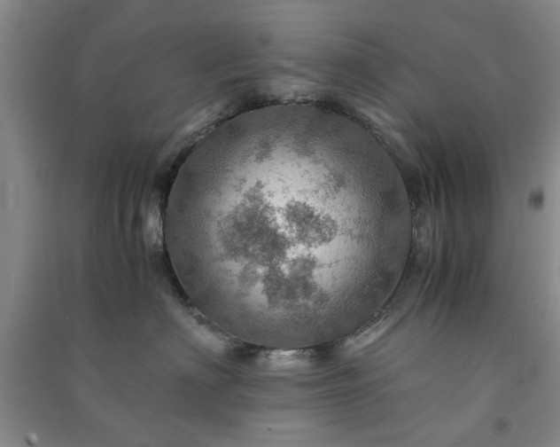 X0000091360622200708171525