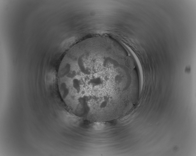 X0000091360623200708171525