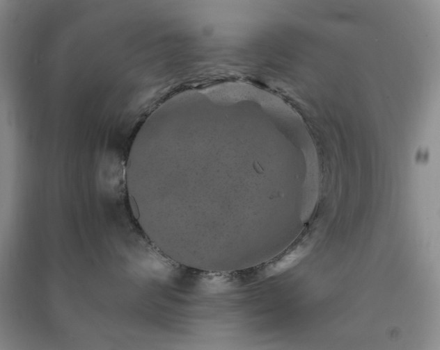 X0000091360624200708171525