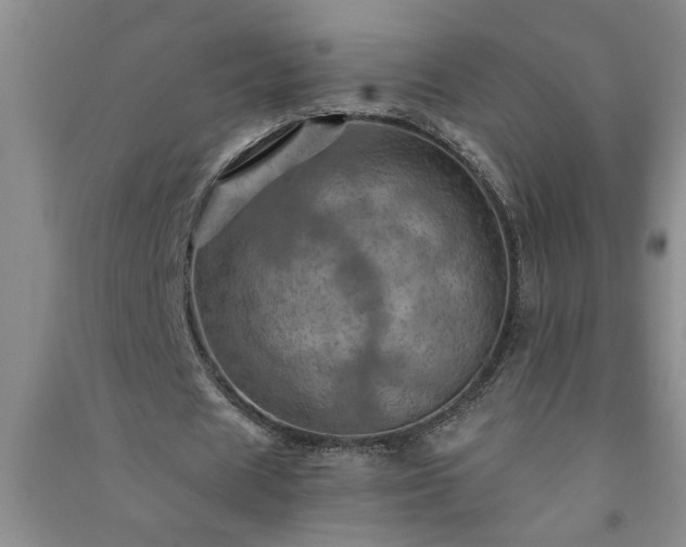 X0000091360625200708171524