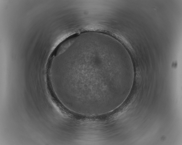 X0000091360626200708171524