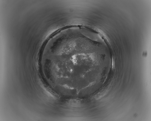 X0000091360627200708171524