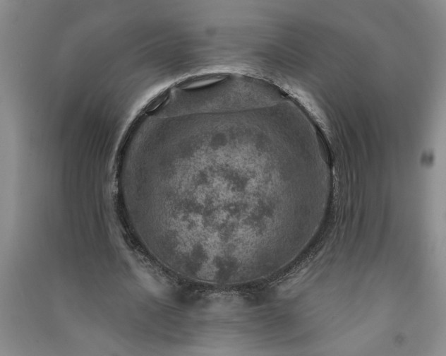 X0000091360628200708171524