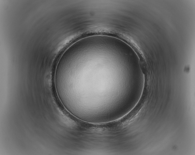 X0000091360629200708171524