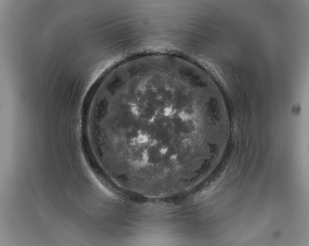 X0000091360630200708171524