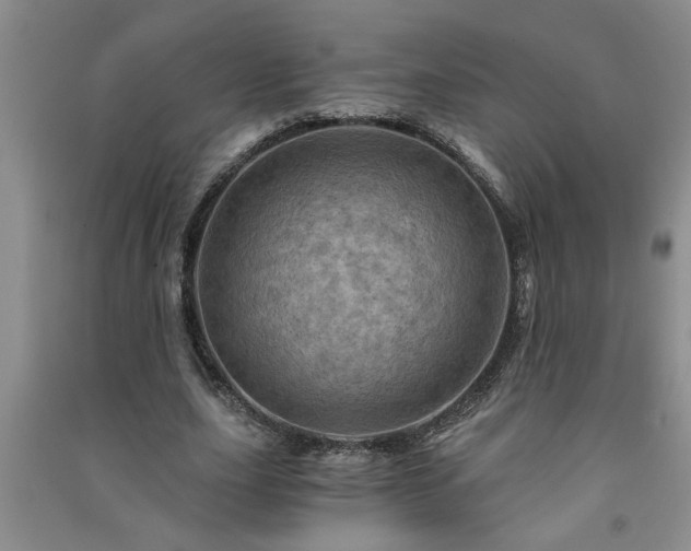 X0000091360631200708171524