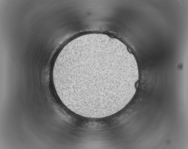 X0000091360632200708171524