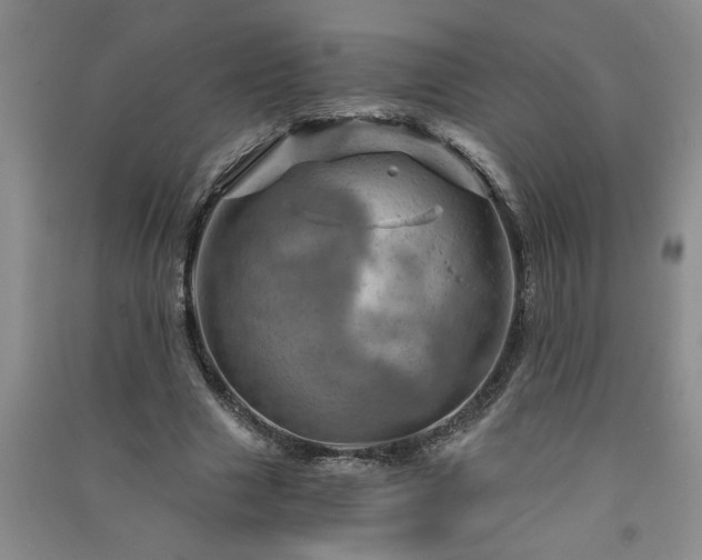X0000091360633200708171524