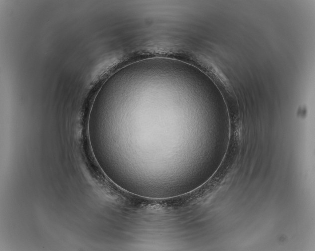 X0000091360635200708171524