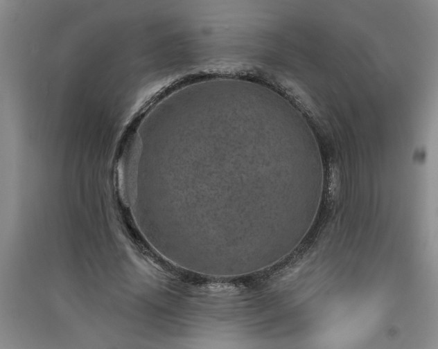 X0000091360636200708171524