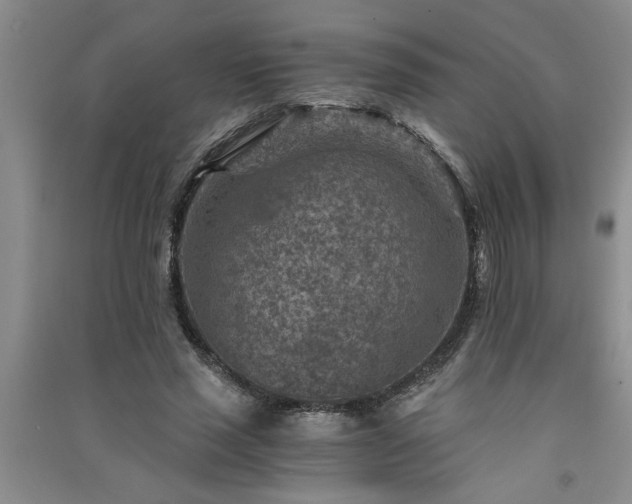 X0000091360637200708171524