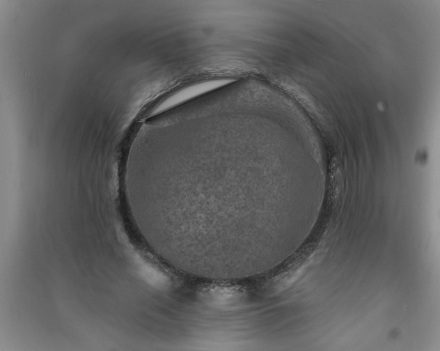 X0000091360638200708171524