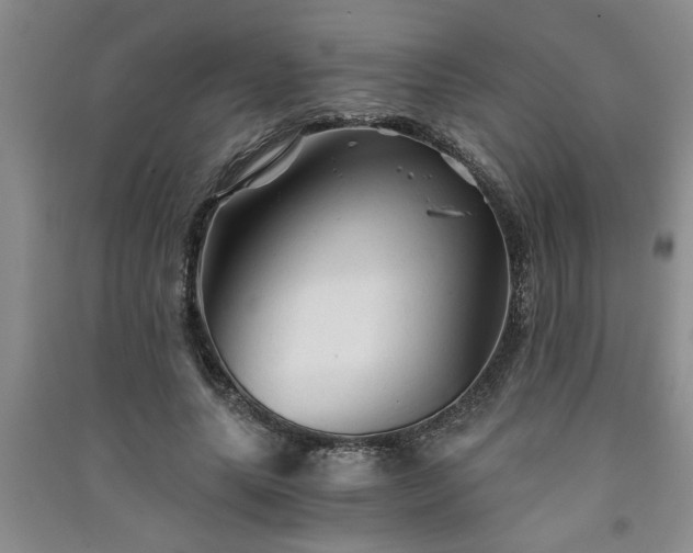 X0000091360639200708171524