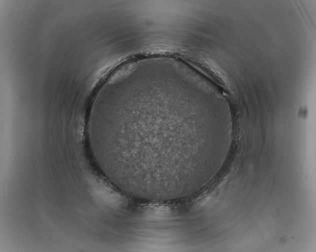 X0000091360640200708171524