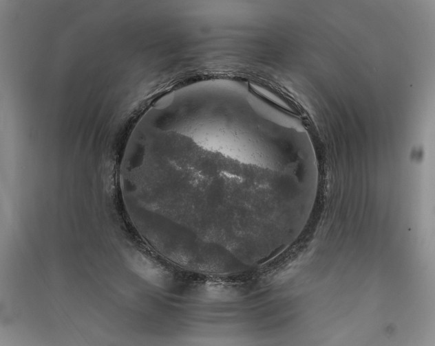 X0000091360641200708171524