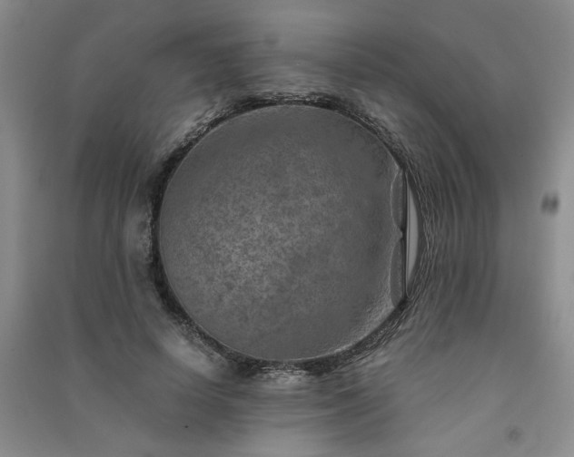 X0000091360642200708171524